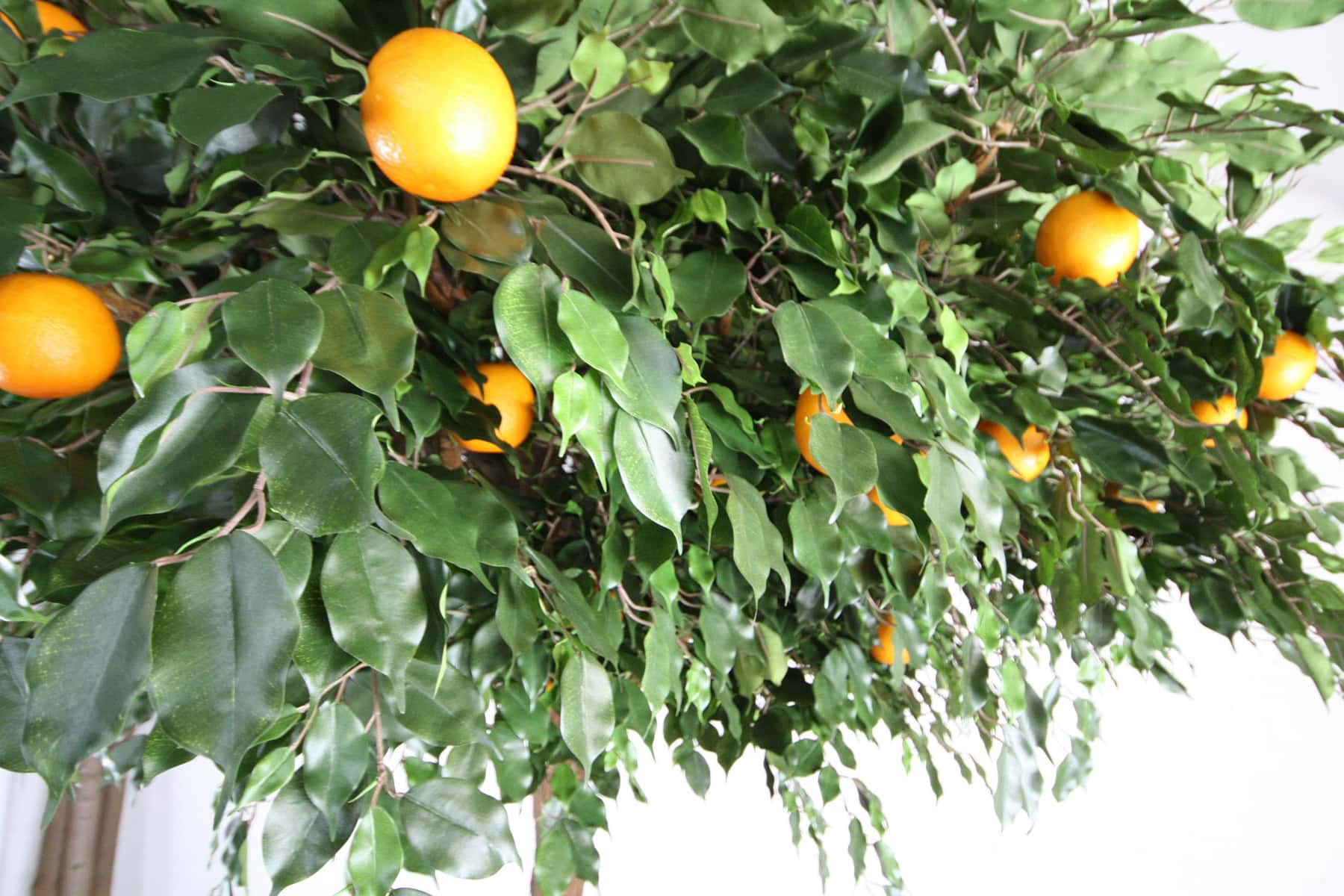 Bespoke Artificial Fruit Trees Design Example